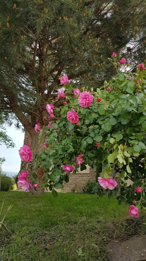 Relais De Navon Bed & Breakfast Saint-Joseph  Exterior foto